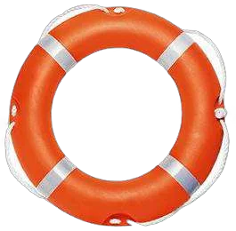 Ring Buoy 2.5 kg